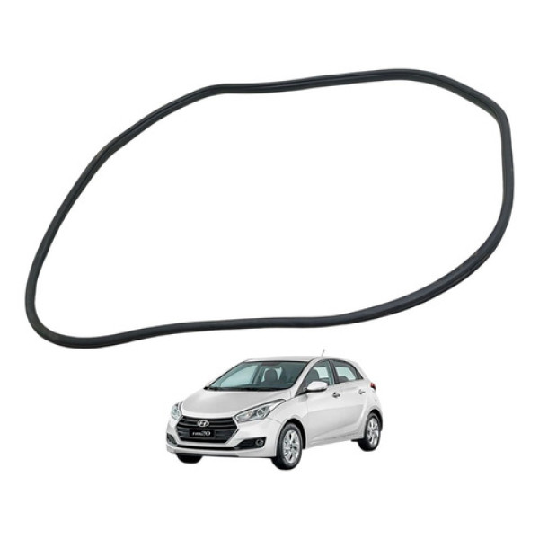 Borracha Guarnição Porta Traseira Esquerda Hb20 Hatch 12/19 Preto