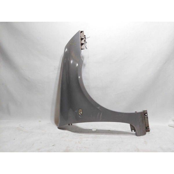 Paralama Lado Direito Renault Clio 2004 05 06... Original 