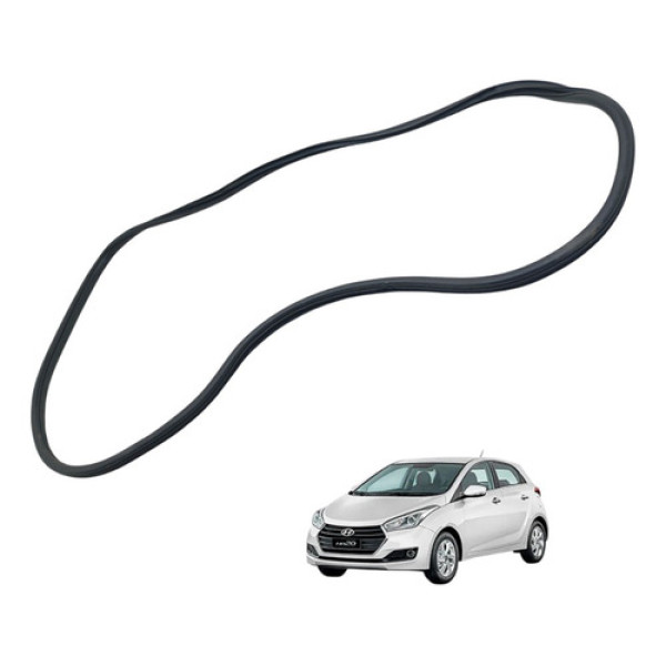 Borracha Guarnição Porta Dianteira Esquerda Hb20 2012/2019 Preto