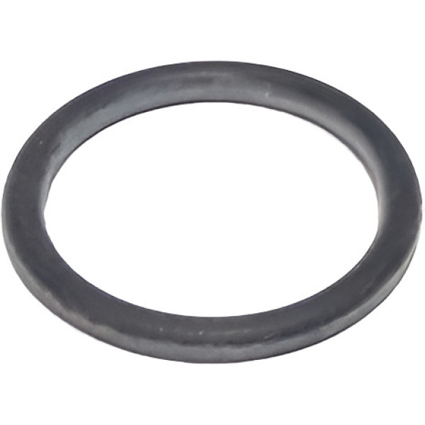  Anel Oring Vedador Bomba Combustível Silverado Gm 