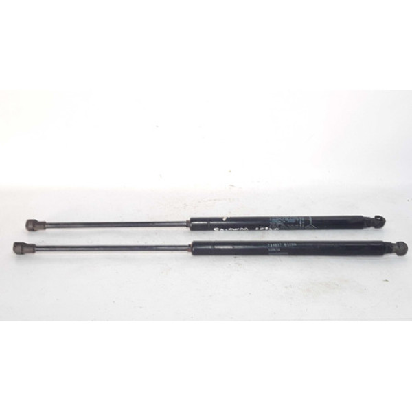 Amortecedor Tampa Traseira Malas Sandero 15/20 7349370320n