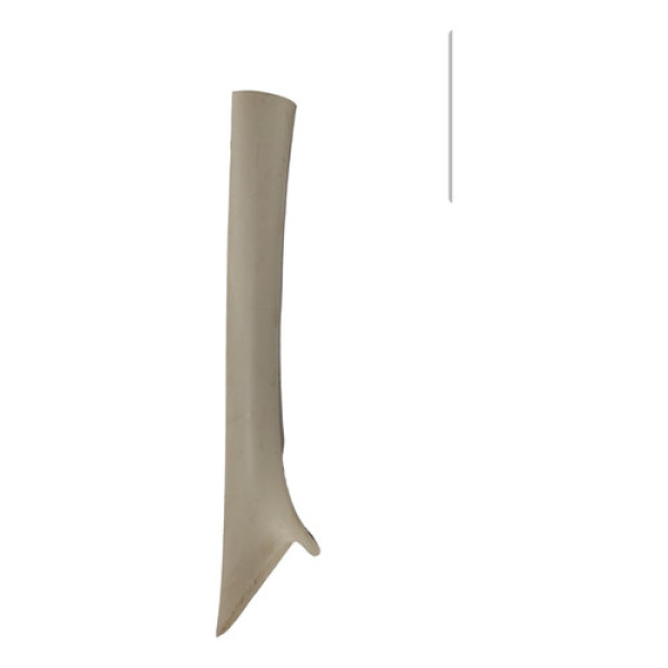 Moldura Direita Coluna Para-brisa Astra 99 A 11 93267188 