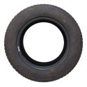 Pneu Aro 15 195/65 Goodyear Eagle 100 Bom V