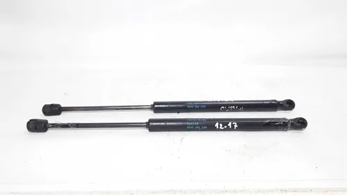 Amortecedor Tampa Traseira Duster 12/17 904528324r 25267