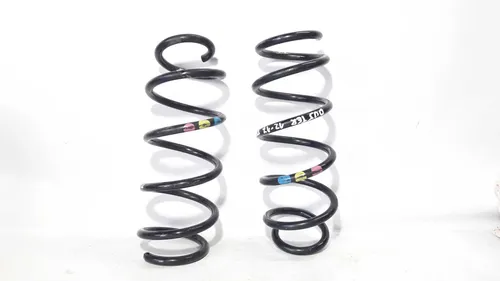Par Mola Suspensão Traseira Duster 12/17 25270
